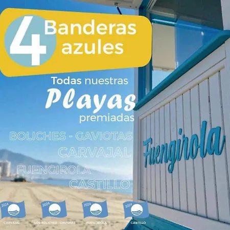 Bravo 24