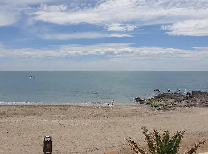 Bravo Fuengirola